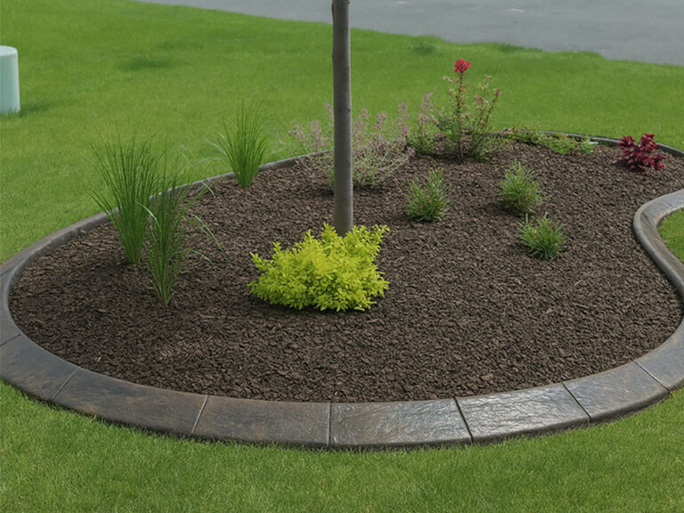 Concrete Garden Edging Ideas and Design Tips for a Beautiful Landscape